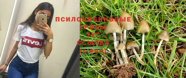 мет Абдулино