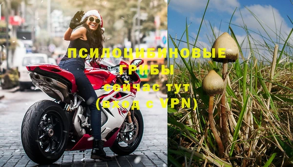 ГАЛЛЮЦИНОГЕННЫЕ ГРИБЫ Абинск