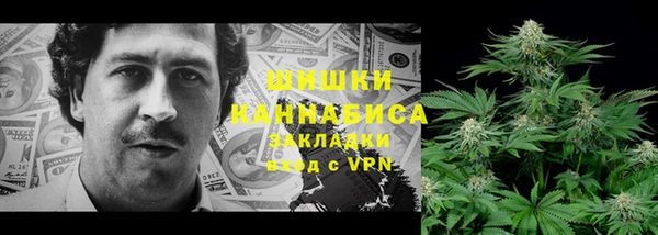 ГАЛЛЮЦИНОГЕННЫЕ ГРИБЫ Абинск