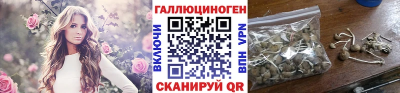 ссылка на мегу маркетплейс  продажа наркотиков  Власиха  Галлюциногенные грибы мицелий 